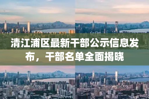清江浦区最新干部公示信息发布，干部名单全面揭晓