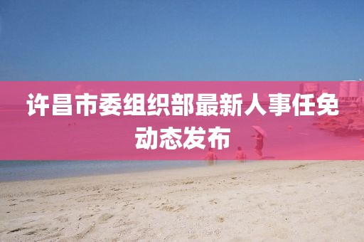 许昌市委组织部最新人事任免动态发布