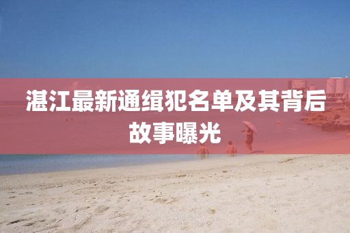 湛江最新通缉犯名单及其背后故事曝光