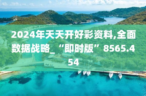 2024年天天开好彩资料,全面数据战略_“即时版”8565.454