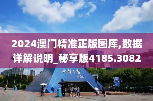 2024澳门精准正版图库,数据详解说明_秘享版4185.3082