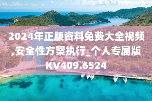 2024年正版资料免费大全视频,安全性方案执行_个人专属版KV409.6524