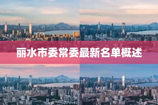 丽水市委常委最新名单概述