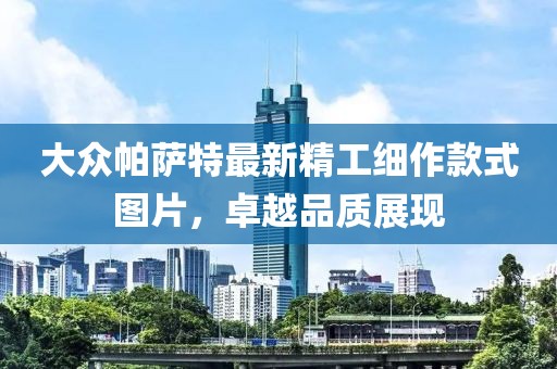 大众帕萨特最新精工细作款式图片，卓越品质展现
