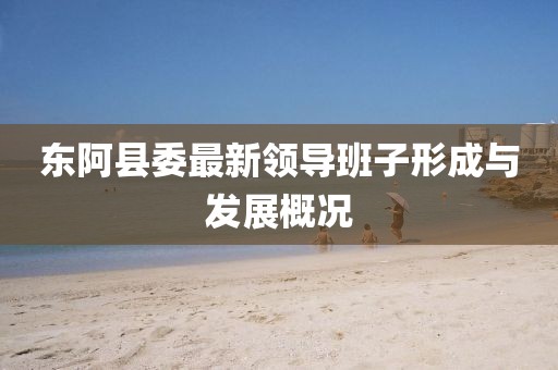 东阿县委最新领导班子形成与发展概况