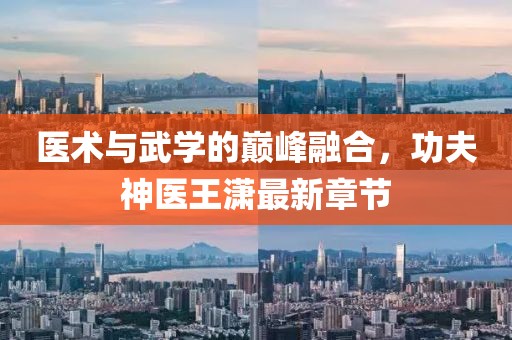 医术与武学的巅峰融合，功夫神医王潇最新章节