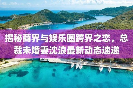 揭秘商界与娱乐圈跨界之恋，总裁未婚妻沈浪最新动态速递
