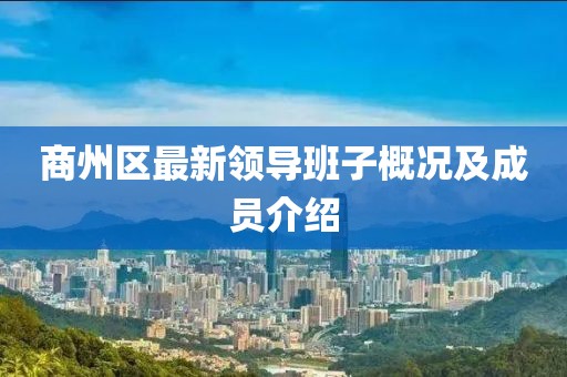 商州区最新领导班子概况及成员介绍