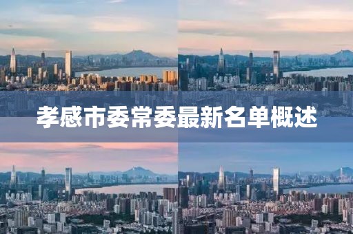 孝感市委常委最新名单概述