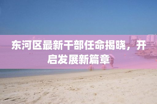 东河区最新干部任命揭晓，开启发展新篇章