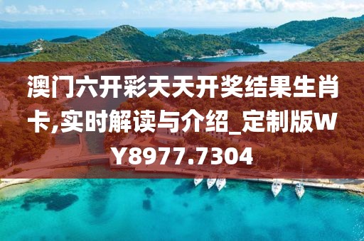澳门六开彩天天开奖结果生肖卡,实时解读与介绍_定制版WY8977.7304