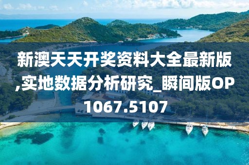 新澳天天开奖资料大全最新版,实地数据分析研究_瞬间版OP1067.5107