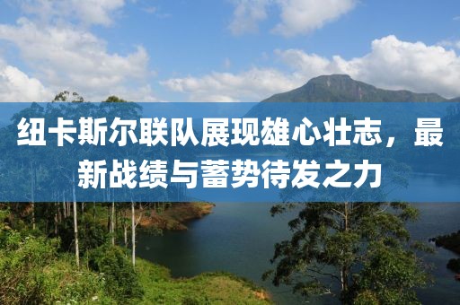 纽卡斯尔联队展现雄心壮志，最新战绩与蓄势待发之力