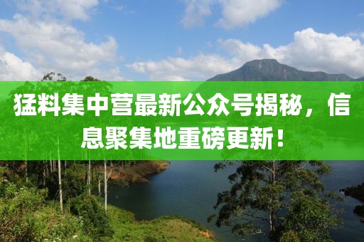 猛料集中营最新公众号揭秘，信息聚集地重磅更新！