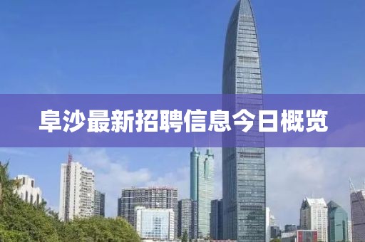阜沙最新招聘信息今日概览