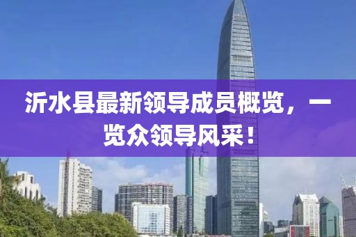 沂水县最新领导成员概览，一览众领导风采！