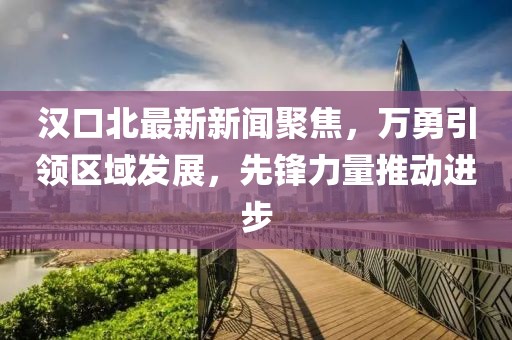 汉口北最新新闻聚焦，万勇引领区域发展，先锋力量推动进步