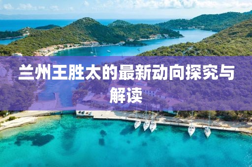 兰州王胜太的最新动向探究与解读