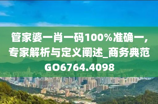 管家婆一肖一码100%准确一,专家解析与定义阐述_商务典范GO6764.4098