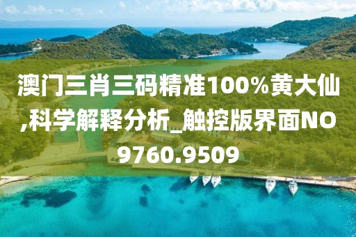 澳门三肖三码精准100%黄大仙,科学解释分析_触控版界面NO9760.9509