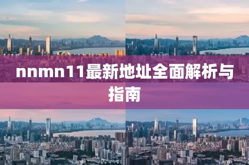 nnmn11最新地址全面解析与指南