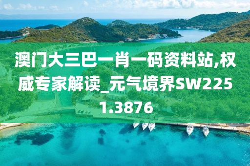 澳门大三巴一肖一码资料站,权威专家解读_元气境界SW2251.3876