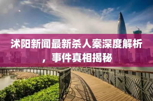 沭阳新闻最新杀人案深度解析，事件真相揭秘