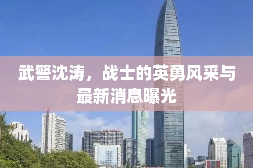 武警沈涛，战士的英勇风采与最新消息曝光