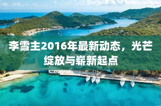 李雪主2016年最新动态，光芒绽放与崭新起点