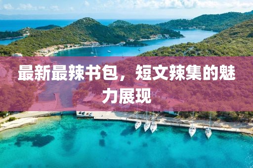 最新最辣书包，短文辣集的魅力展现