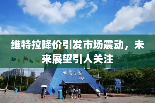 维特拉降价引发市场震动，未来展望引人关注