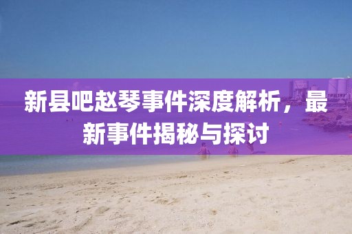 新县吧赵琴事件深度解析，最新事件揭秘与探讨