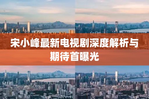 宋小峰最新电视剧深度解析与期待首曝光