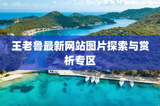 妖君邪圣 第15页