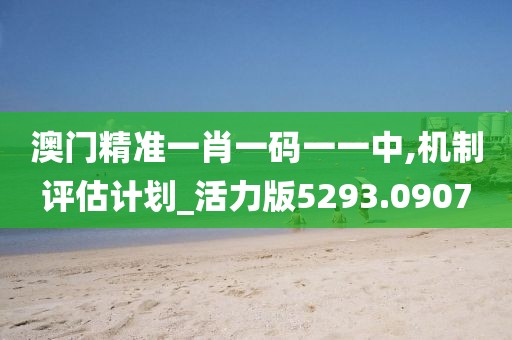 澳门精准一肖一码一一中,机制评估计划_活力版5293.0907