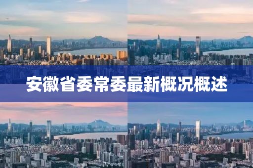 安徽省委常委最新概况概述