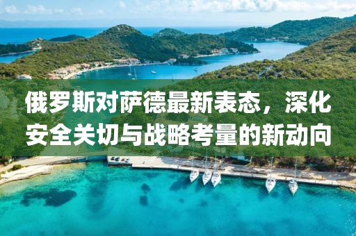 俄罗斯对萨德最新表态，深化安全关切与战略考量的新动向