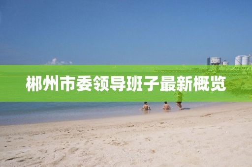 郴州市委领导班子最新概览