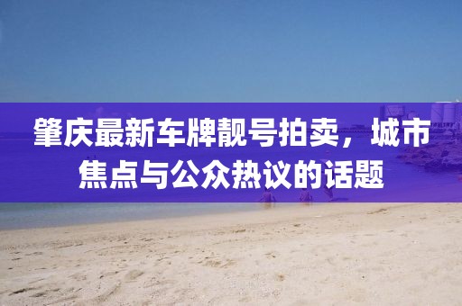 肇庆最新车牌靓号拍卖，城市焦点与公众热议的话题