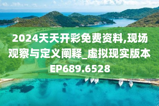 2024天天开彩免费资料,现场观察与定义阐释_虚拟现实版本EP689.6528