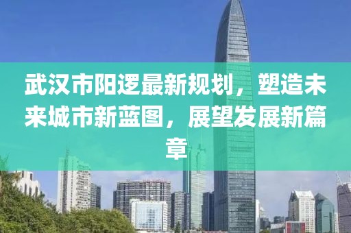 武汉市阳逻最新规划，塑造未来城市新蓝图，展望发展新篇章