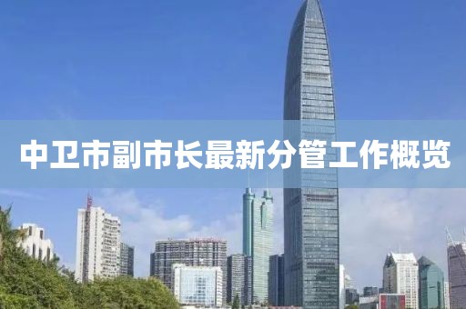 中卫市副市长最新分管工作概览