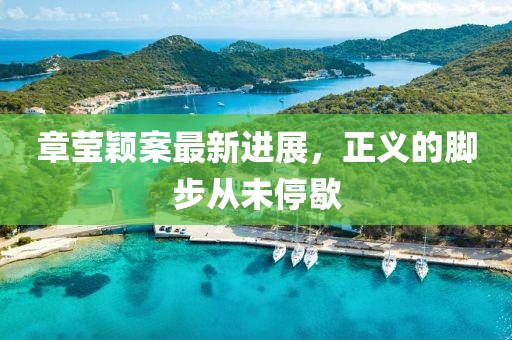 章莹颖案最新进展，正义的脚步从未停歇