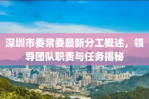 深圳市委常委最新分工概述，领导团队职责与任务揭秘