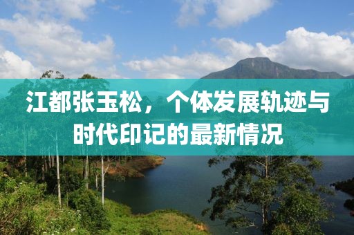 江都张玉松，个体发展轨迹与时代印记的最新情况