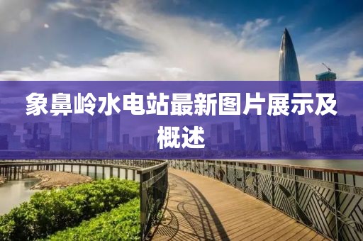 象鼻岭水电站最新图片展示及概述