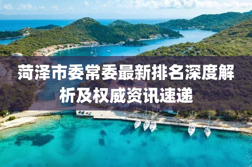 菏泽市委常委最新排名深度解析及权威资讯速递