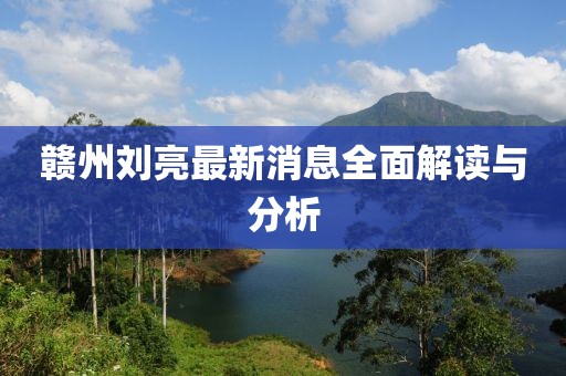 赣州刘亮最新消息全面解读与分析