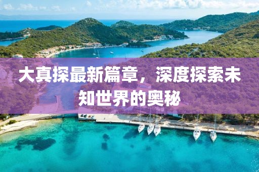 大真探最新篇章，深度探索未知世界的奥秘