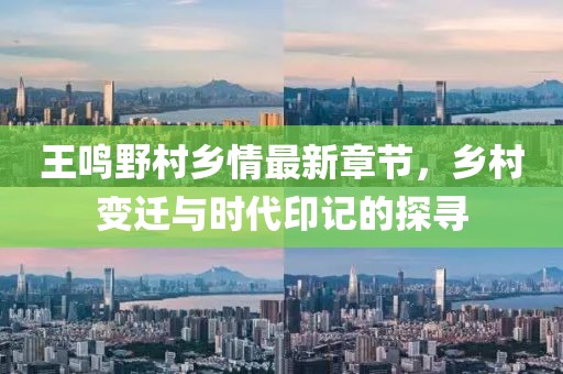 王鸣野村乡情最新章节，乡村变迁与时代印记的探寻